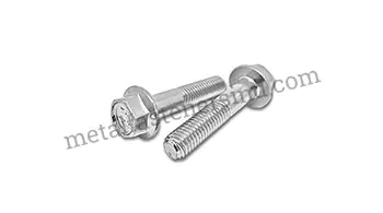 Flange Bolts